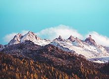 开云体育下载-海报·十五运会项目知多D